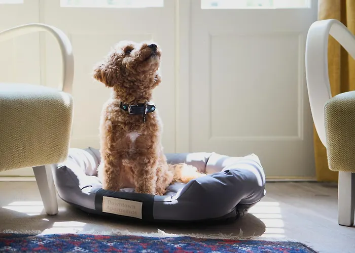 Deco By Downtown Lejlighedshotel